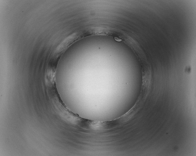 X0000114630142200910201428