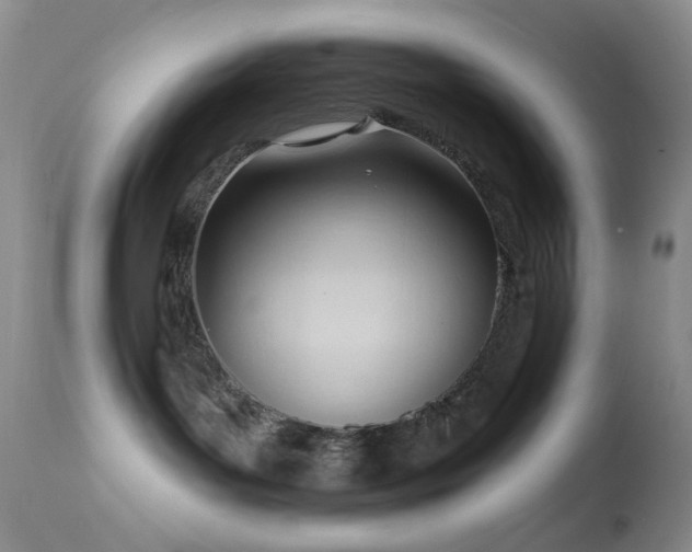 X0000114630143200910201428