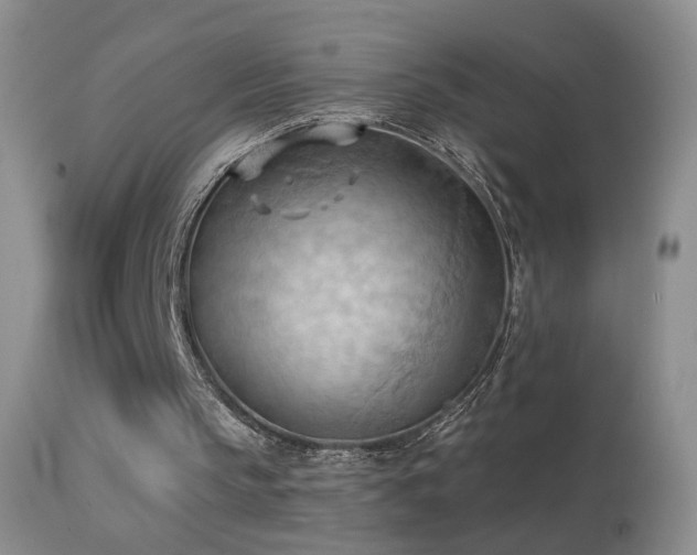 X0000114630145200910201427