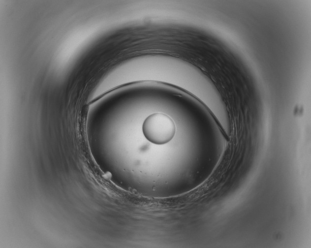 X0000114630146200910201427