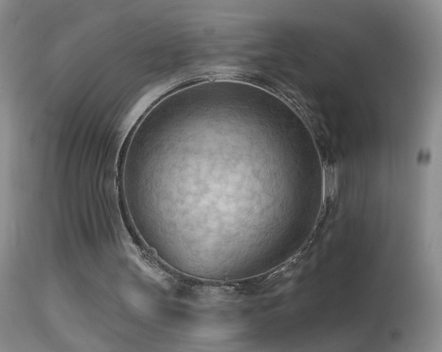 X0000114630147200910201427