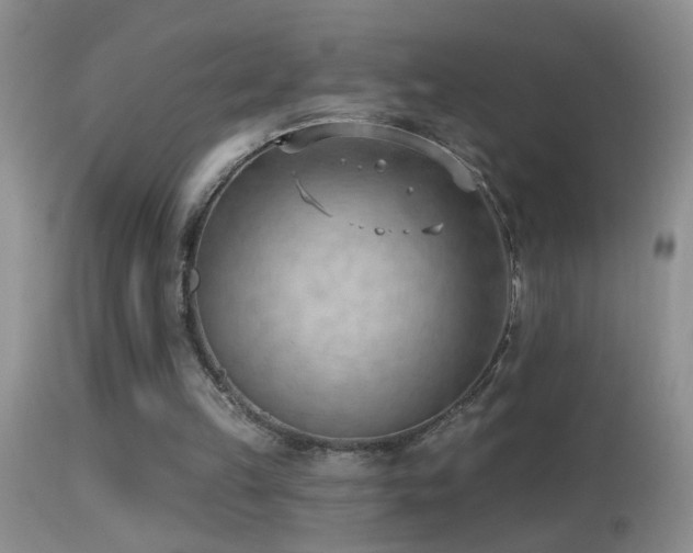 X0000114630149200910201427