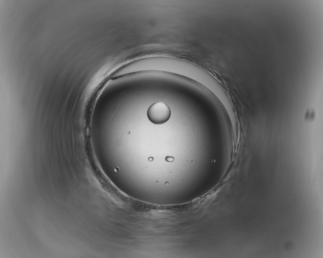 X0000114630150200910201427