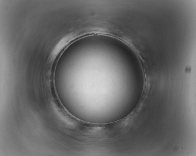 X0000114630151200910201427