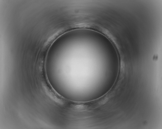 X0000114630153200910201427