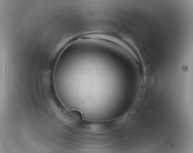 X0000114630154200910201428