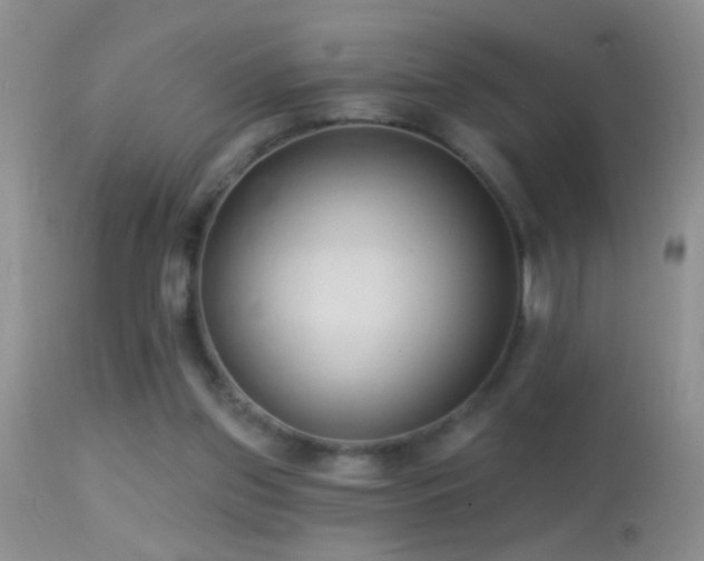 X0000114630157200910201428