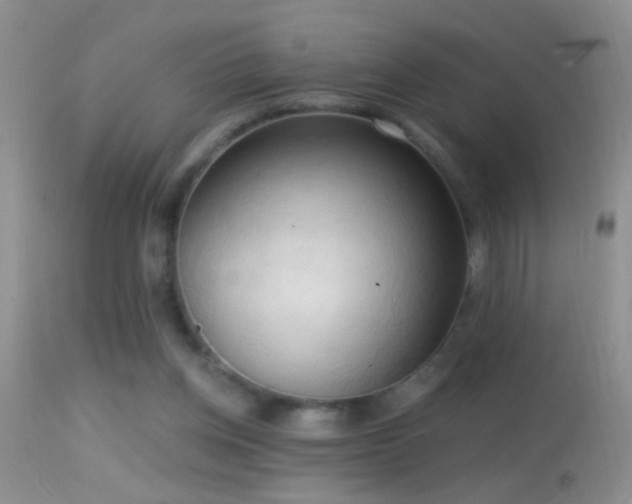 X0000114630158200910201428