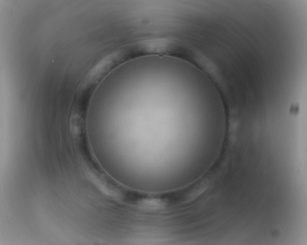 X0000114630161200910201428