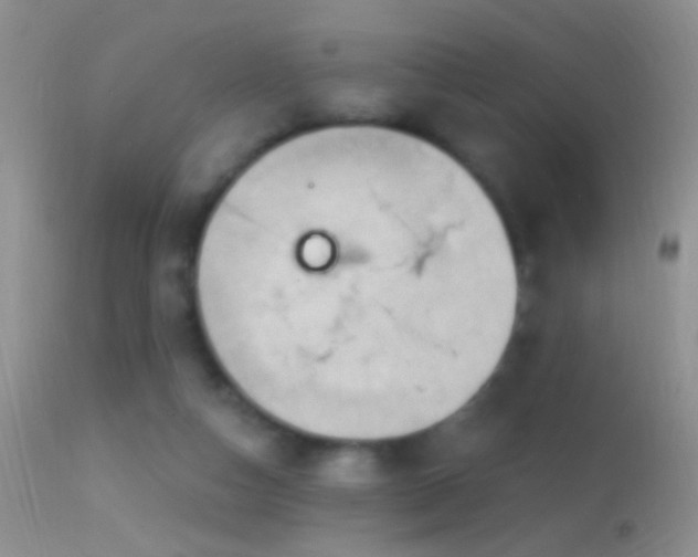 X0000114630162200910201428