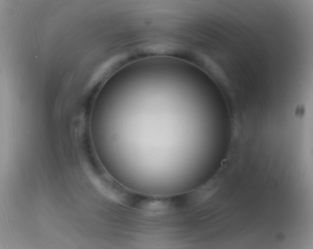 X0000114630163200910201428