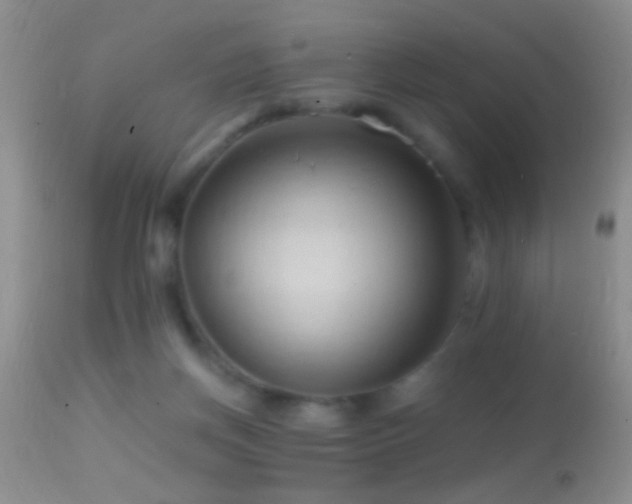 X0000114630166200910201428