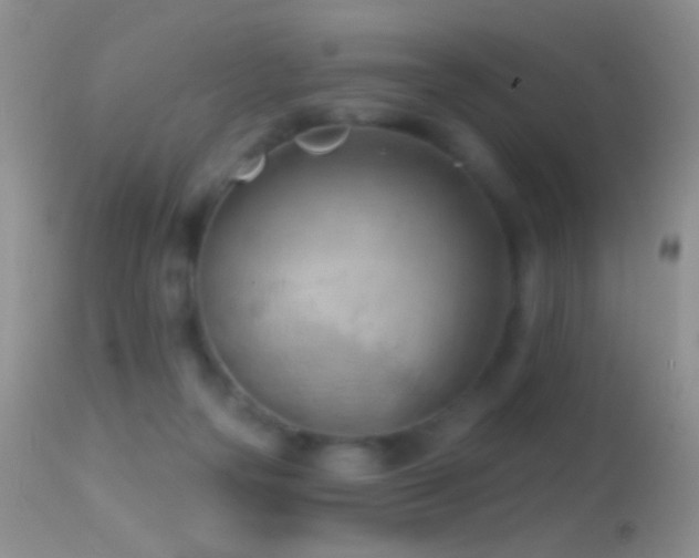 X0000114630169200910201428