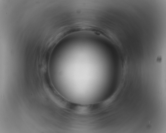 X0000114630170200910201428