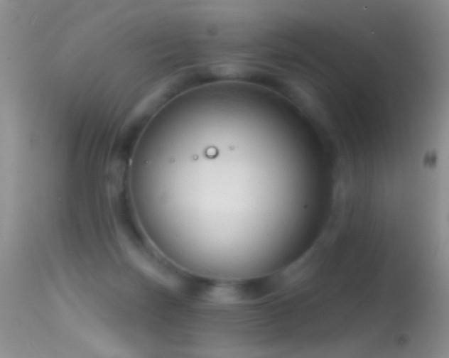 X0000114630171200910201428