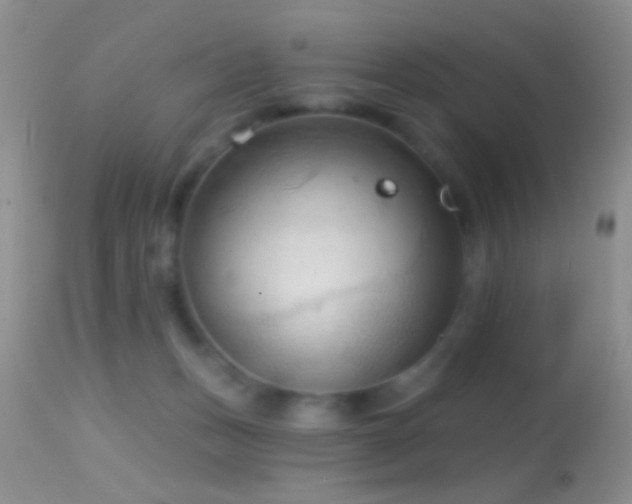 X0000114630175200910201428