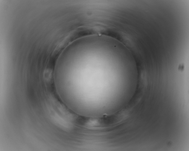 X0000114630177200910201428