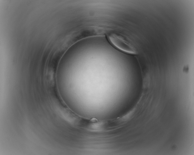 X0000114630178200910201428