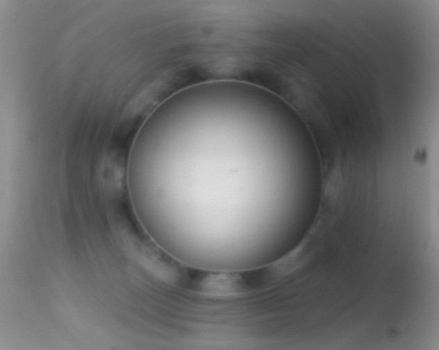 X0000114630179200910201428