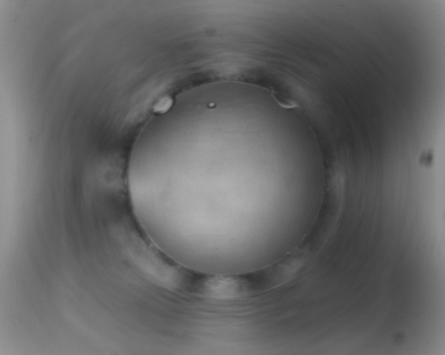 X0000114630181200910201428