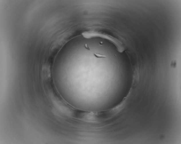 X0000114630182200910201428