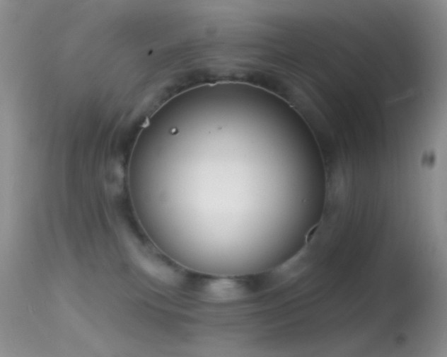 X0000114630183200910201428