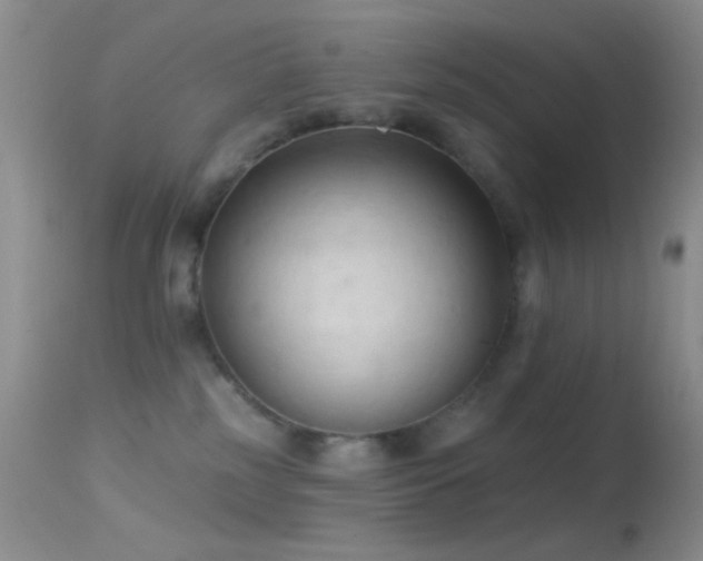 X0000114630185200910201428