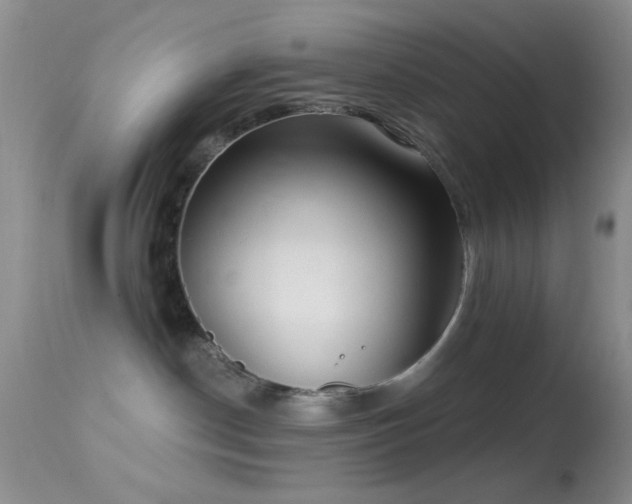 X0000114630190200910201428