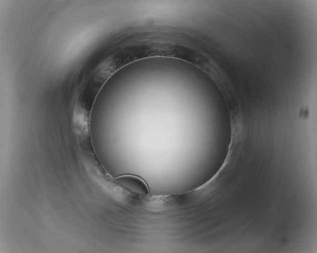 X0000114630191200910201428