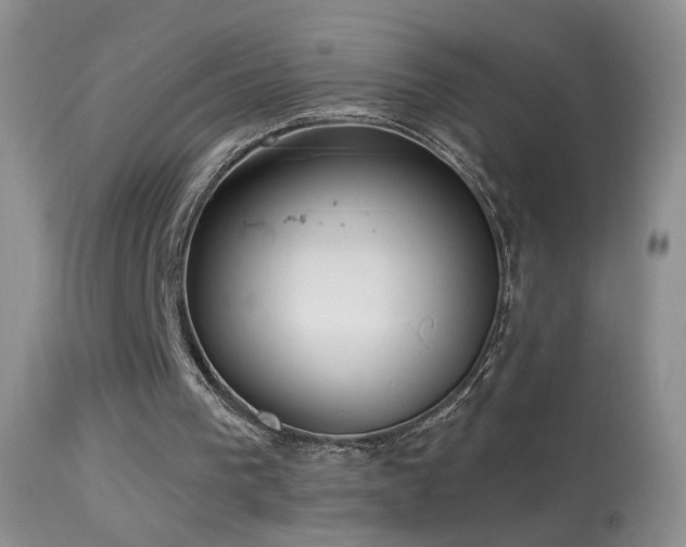 X0000114630193200910201427