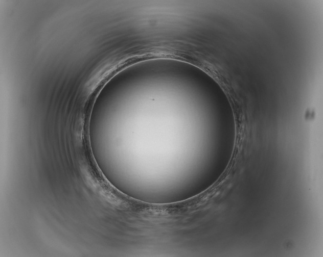 X0000114630194200910201427