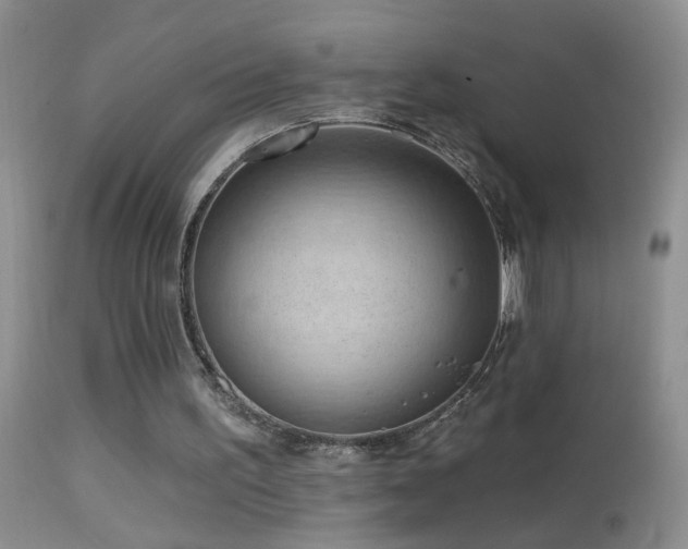 X0000114630195200910201427