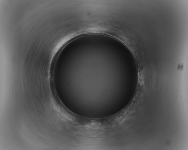 X0000114630196200910201427