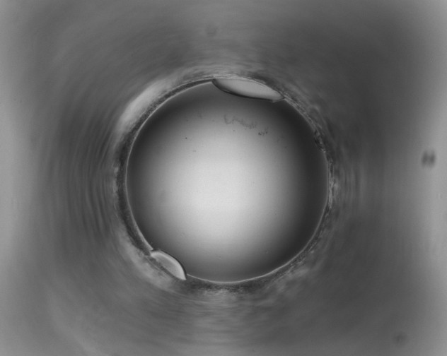 X0000114630197200910201427