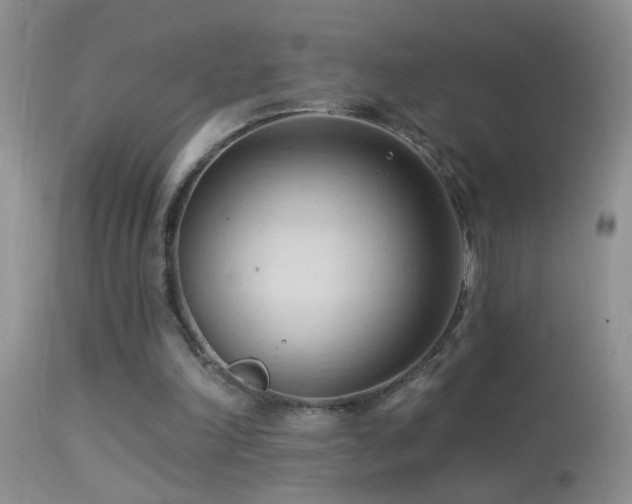 X0000114630198200910201427