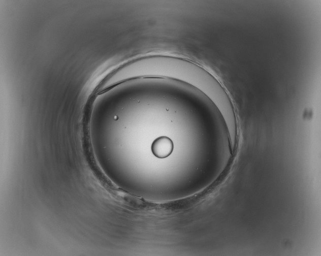 X0000114630199200910201427