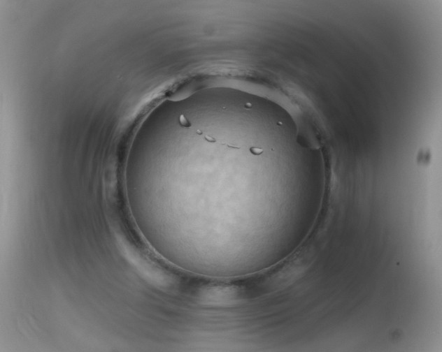 X0000114630202200910201427