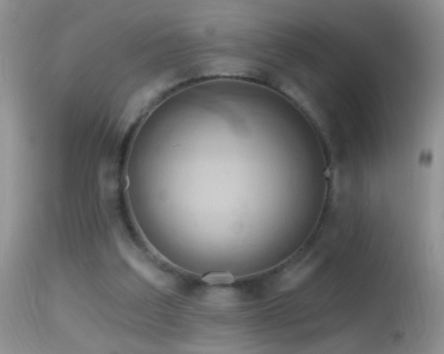 X0000114630203200910201427