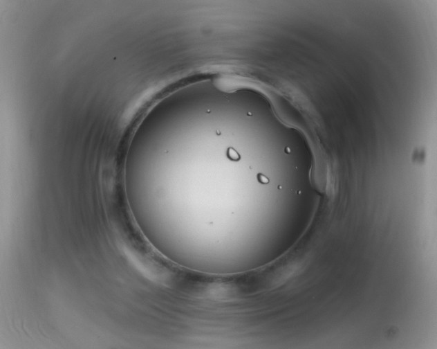 X0000114630204200910201427