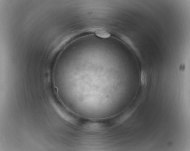 X0000114630205200910201427