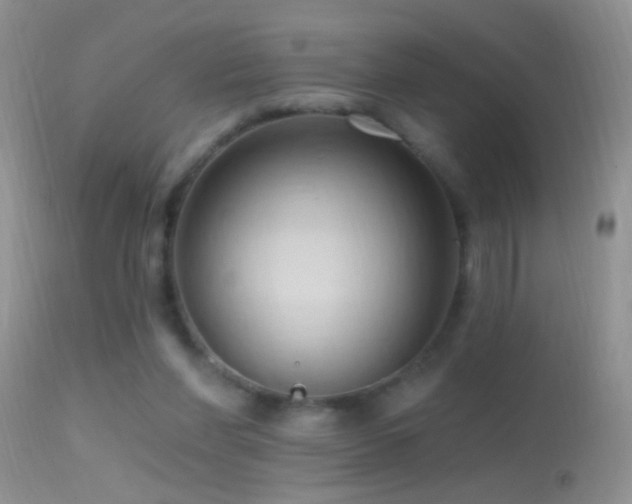 X0000114630206200910201427