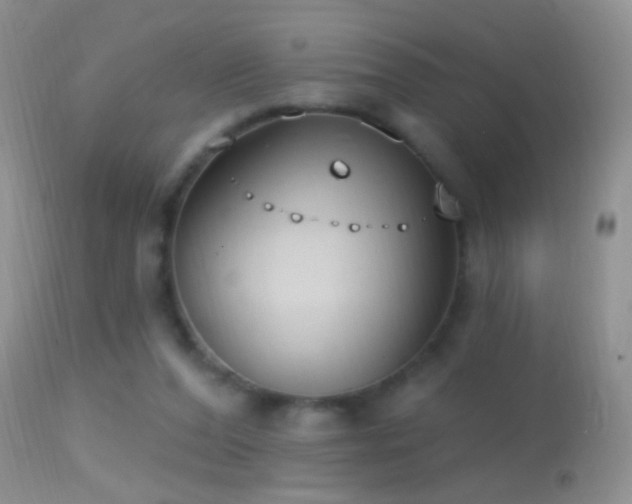 X0000114630208200910201427