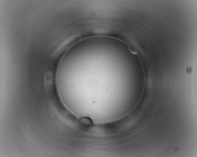 X0000114630211200910201427