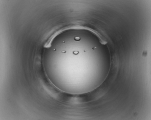 X0000114630212200910201427