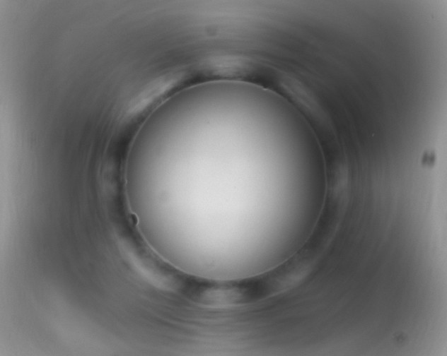 X0000114630213200910201427