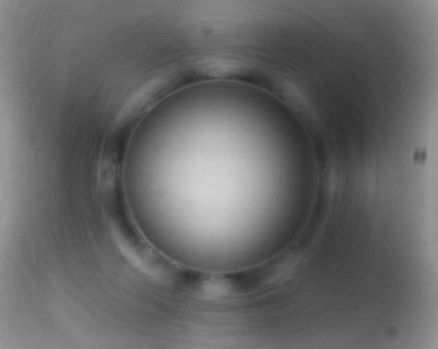 X0000114630214200910201427