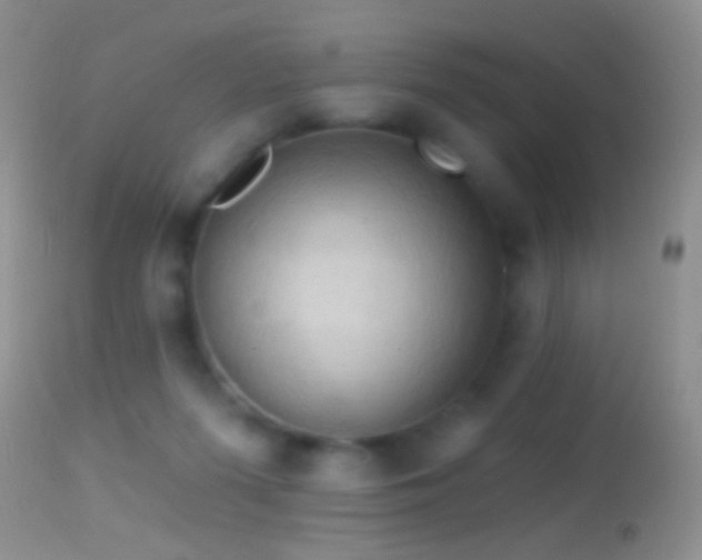 X0000114630215200910201427