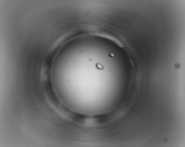 X0000114630216200910201427