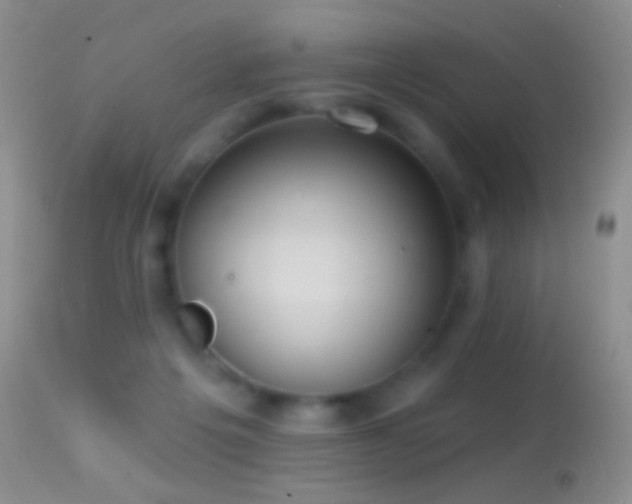 X0000114630217200910201427