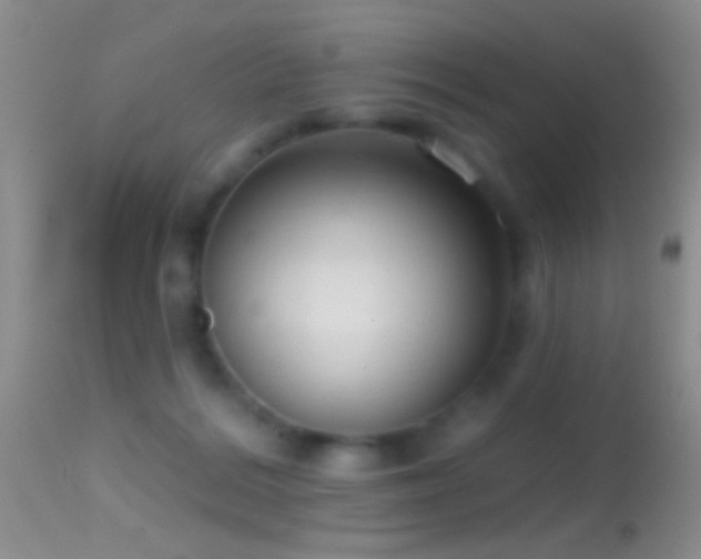 X0000114630220200910201427